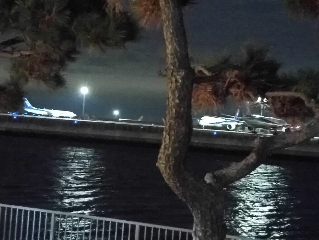 羽田空港を臨む。京浜島つばさ公園から撮影。ANA機が見える。