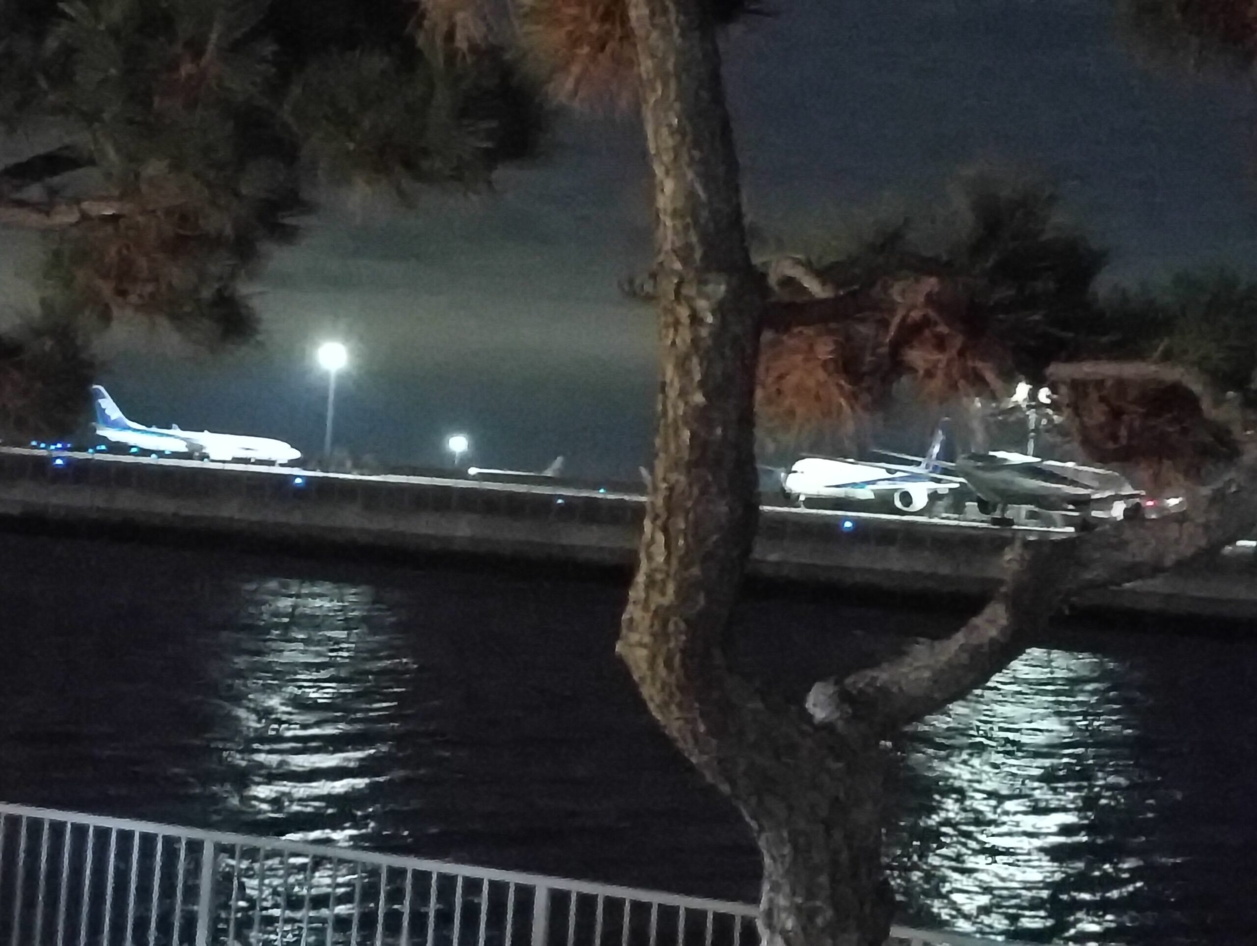 羽田空港を臨む。京浜島つばさ公園から撮影。ANA機が見える。