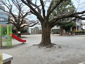 現場近くの品川区立やまなか公園。遊具が見える。