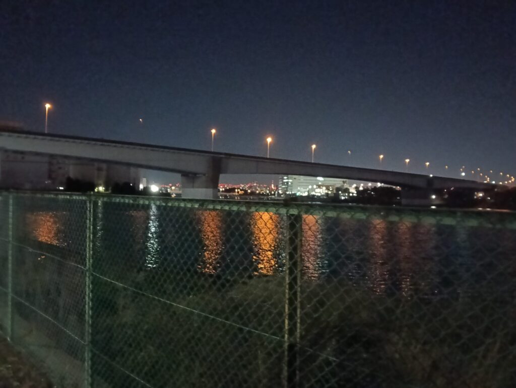昭和島からの夜景。ブリッジが見える。寒かった。