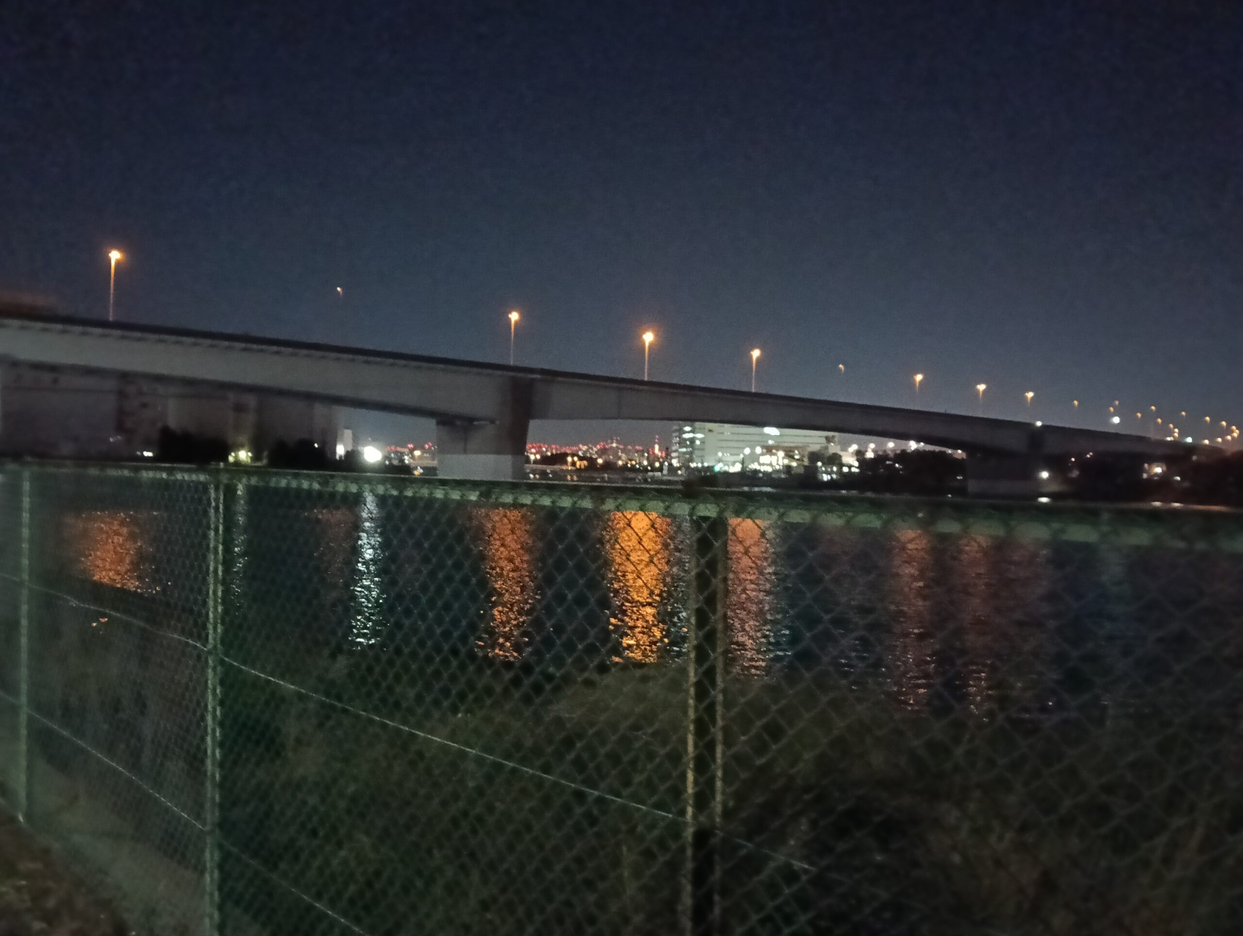 昭和島からの夜景。ブリッジが見える。寒かった。